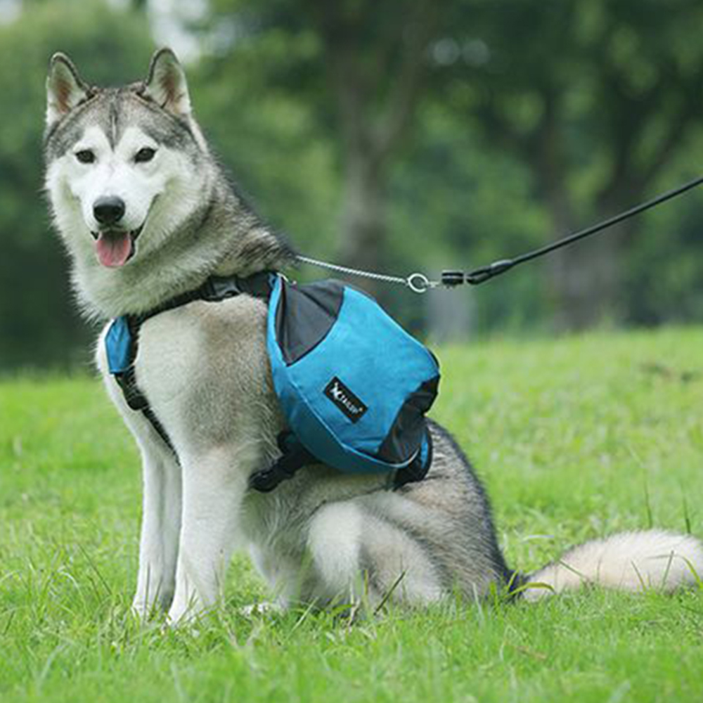 Dog Weight Training Backpack H - Crossfit Weight Vest recension och pris